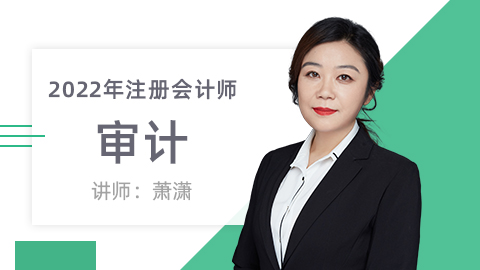 22注册会计师-审计 